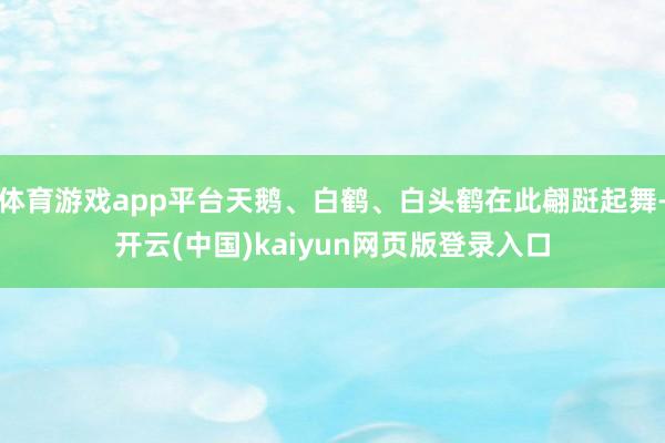 体育游戏app平台天鹅、白鹤、白头鹤在此翩跹起舞-开云(中国)kaiyun网页版登录入口