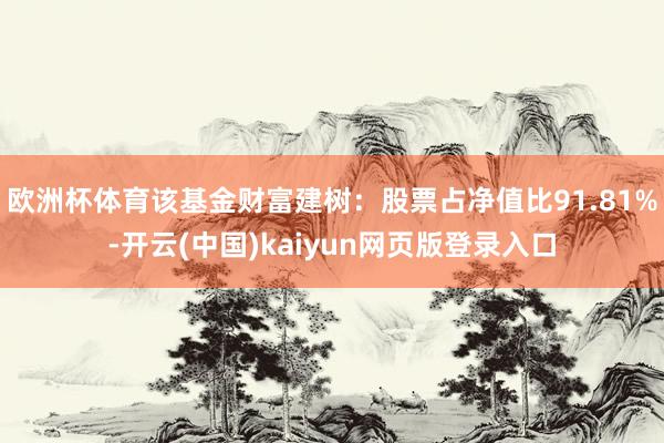 欧洲杯体育该基金财富建树：股票占净值比91.81%-开云(中国)kaiyun网页版登录入口