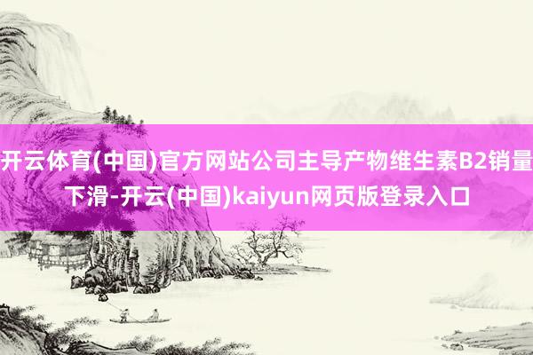 开云体育(中国)官方网站公司主导产物维生素B2销量下滑-开云(中国)kaiyun网页版登录入口