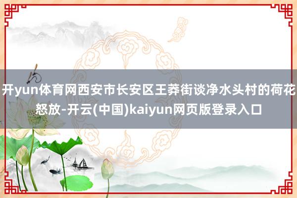 开yun体育网西安市长安区王莽街谈净水头村的荷花怒放-开云(中国)kaiyun网页版登录入口