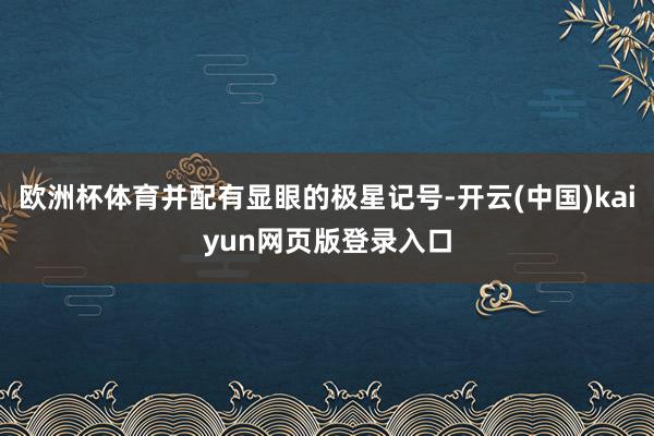 欧洲杯体育并配有显眼的极星记号-开云(中国)kaiyun网页版登录入口