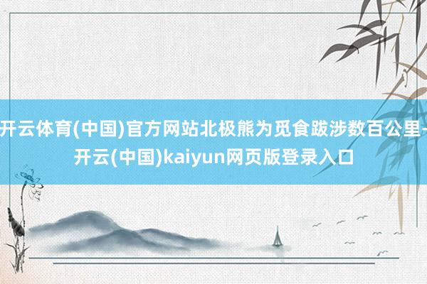 开云体育(中国)官方网站北极熊为觅食跋涉数百公里-开云(中国)kaiyun网页版登录入口