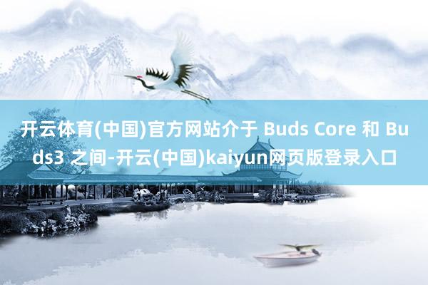 开云体育(中国)官方网站介于 Buds Core 和 Buds3 之间-开云(中国)kaiyun网页版登录入口