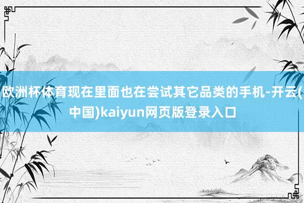 欧洲杯体育现在里面也在尝试其它品类的手机-开云(中国)kaiyun网页版登录入口